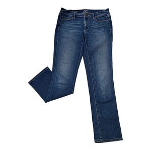 Ann Taylor Loft Modern Straight Leg Jeans